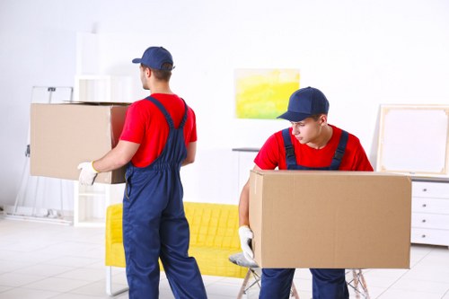 A variety of moving vans parked, ready for relocation